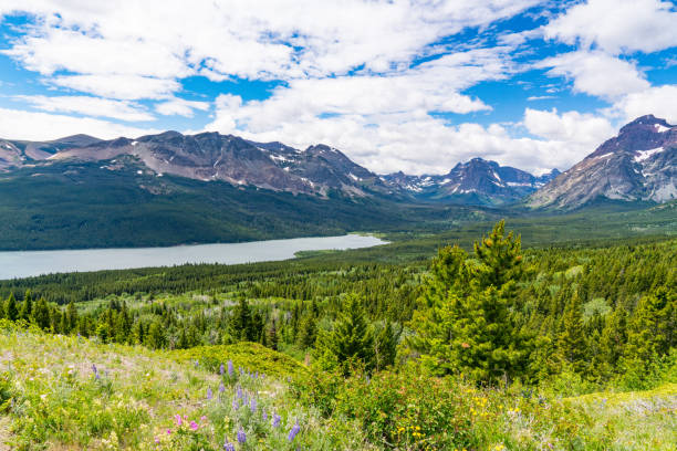 istock Two Medicine Lake, Montana 1058883902