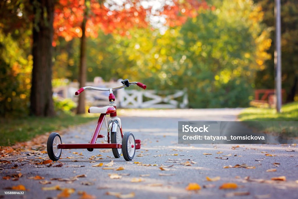 Tricycle in the park on sunset, autumn time, children in the park Tricycle in the park on sunset, autumn time, children in the park, enjoying warn autumn day Child Stock Photo