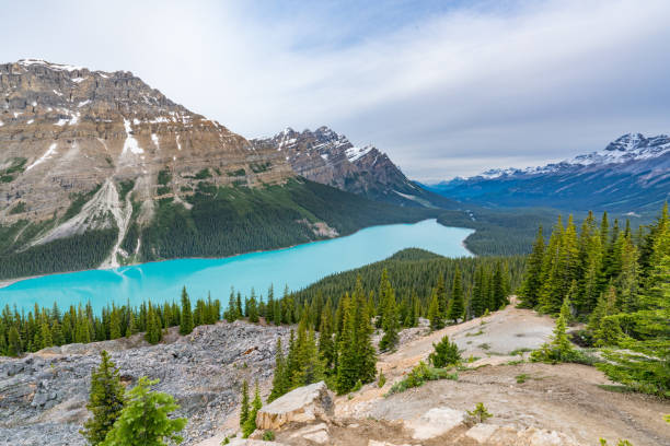 istock Peyto Lake, Canada 1058885848