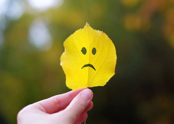 istock Autumn leaf sad face in a hand 1058886046