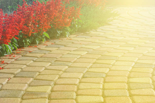 part of the sidewalk with lawn toning