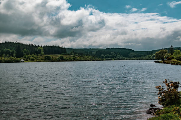 istock A lake in Dartmoor National Park 1058894398