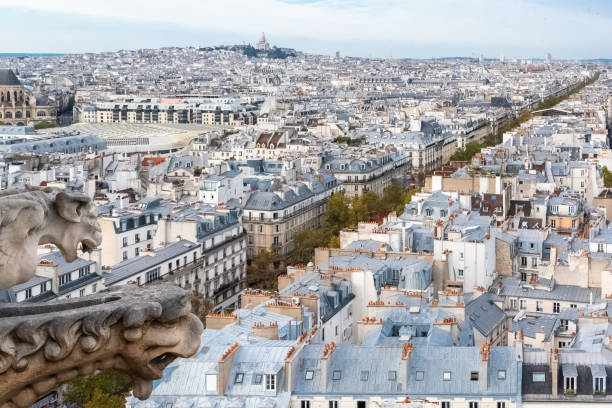 istock Paris, panorama of the city 1058898518