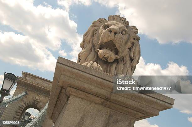 Foto de Ponte Chain Em Budapeste Na Hungria e mais fotos de stock de Budapeste - Budapeste, Enviesado, Estátua