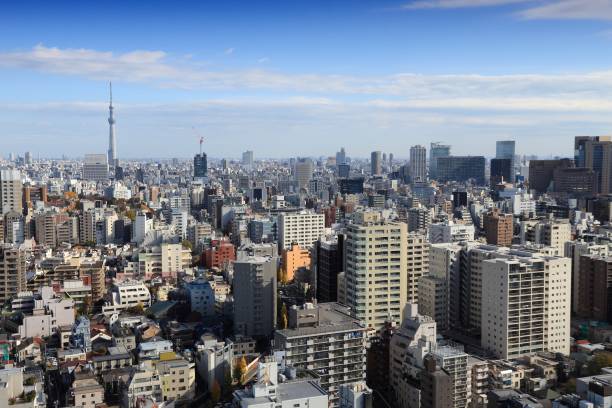 istock Tokyo city skyline 1058912496