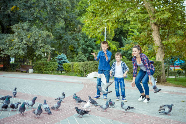 istock Happy beautiful mother and two sons fed pigeons 1058914808