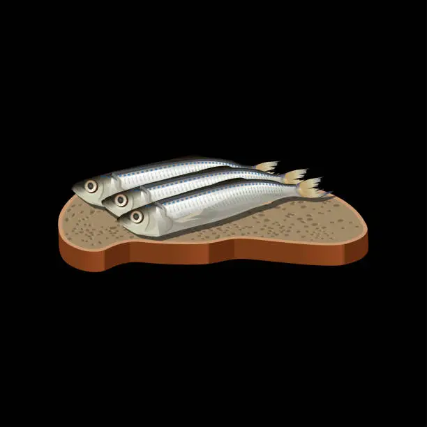 Vector illustration of Sprat sandwich vector