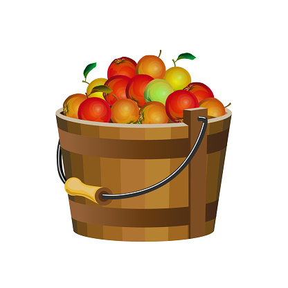 Wooden bucket with apples. Vector illustration isolated on white