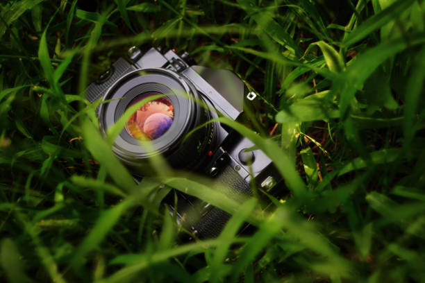 Retro single-lens reflex professional film camera outdoors in the grass