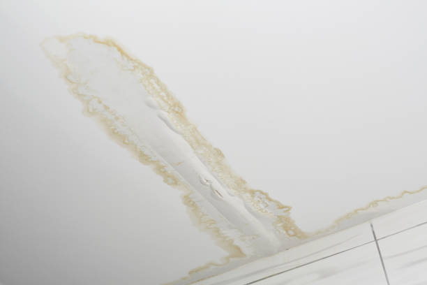 istock Water leak from the cracked ceiling 1058922698