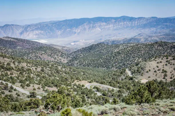 Photo of View of the Ancient Bristlecone Pine Forest in California, in the White Mountains