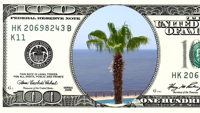 Palm trees on the wind in frame of 100 dollar bill