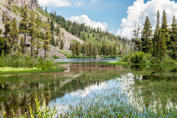 istock Twin Lakes in Mammoth Lakes, California 1058944222