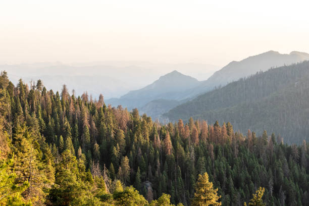 A vewi of San Bernarnino National Forest from Skyforest California