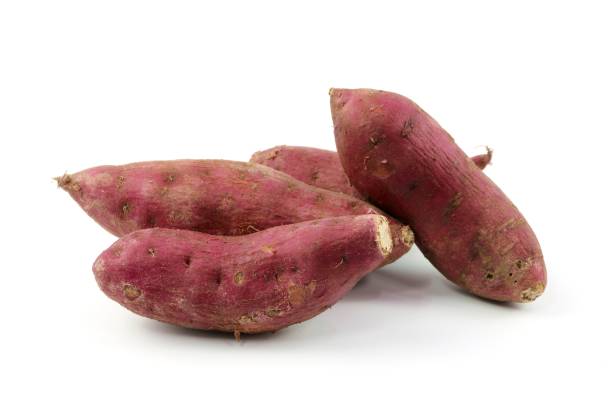 świeży garnet yam - sweet potato yam white isolated zdjęcia i obrazy z banku zdjęć