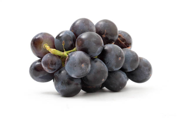 istock purple grape isolated on white background 1058964316