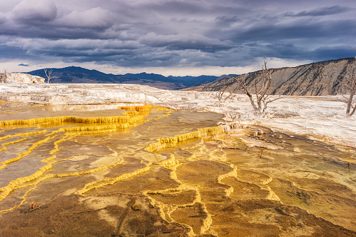 Stock photograph of the colorful travertine terraces at Mammoth Hot Springs in Yellowstone National Park on a cloudy day.