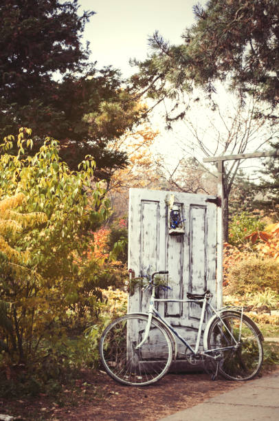 Decorative vintage bycicle with flowers in the park