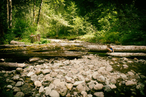 Downstream of bridal veil falls Washington State-Stock photo