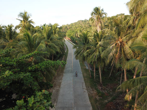 istock Morning ride in the tropics 1058990602