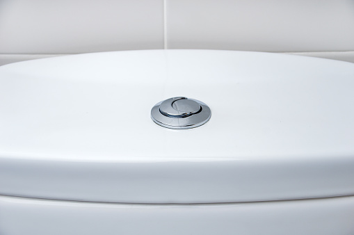 toilet flush knob with two separate buttons