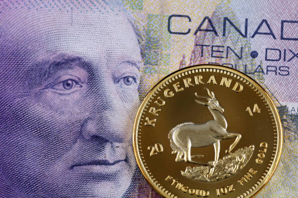canadian ten dollar bill with a gold one ounce krugerrand - ten rand note imagens e fotografias de stock
