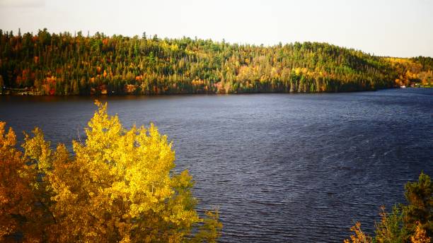 istock Tree with yellow foliage at the water's edge facing a colorful mountain 1059003664