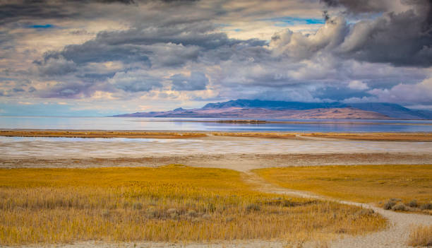 istock The Great Salt Lake from Antelope Island 1059007360