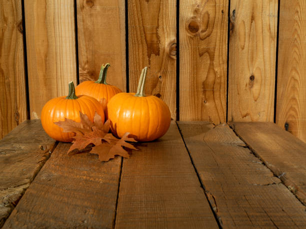 istock Pumpkins on a rustic wood background. 1059012660