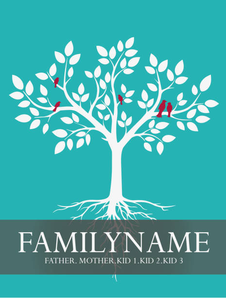 Family tree white tree on a green background with five birds family trees stock illustrations