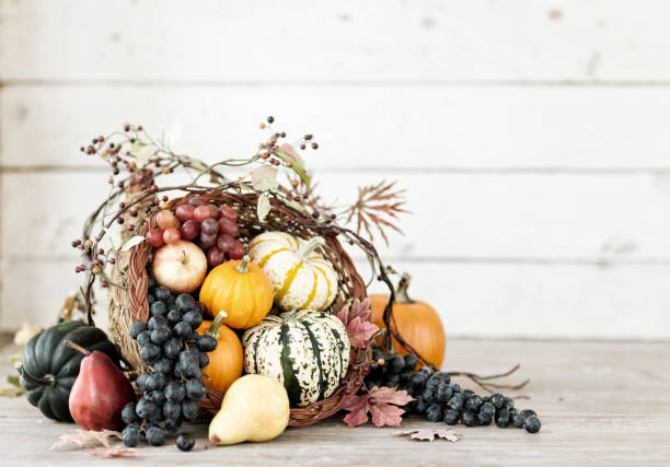 istock Autumn Thanksgiving Cornucopia on a Rustic White Wood Background 1059022208