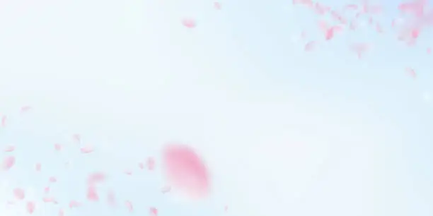 Vector illustration of Sakura petals falling down. Romantic pink flowers