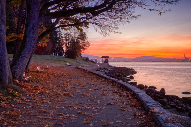 Vibrant autumn leaves and calm water seen along the Stanley Park Seawall Path at sunrise, Vancouver, British Columbia