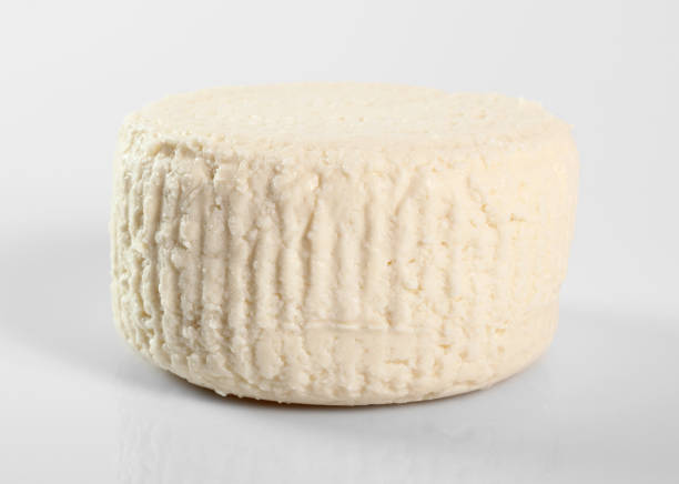 istock Capreggio Goat Cheese. Isolated on gray background. 1059041276