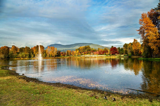 Fall colours at Lafarge Lake, Coquitlam, BC, Canada