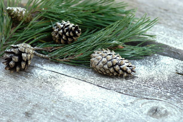 istock Christmas vintage composition background. Pine branches with cones covered with snow. Winter concept. Copy space 1059044908