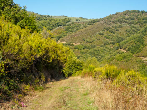istock On the Camino Dragonte - Pereje 1059046170