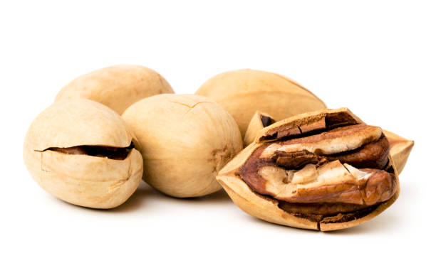 istock Pecans in the shell and without the on a white, isolated. 1059049988