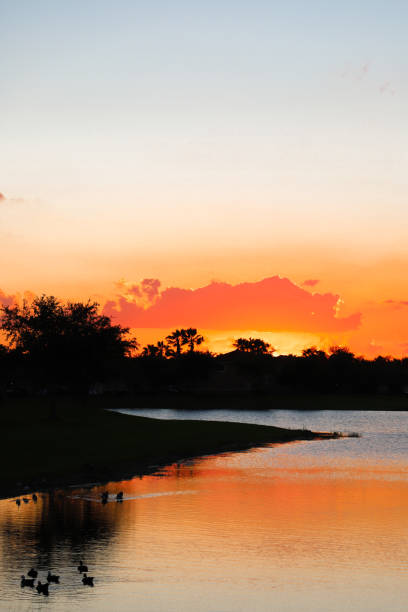 istock Sunset over the lake, trees reflection in water. 1059050006