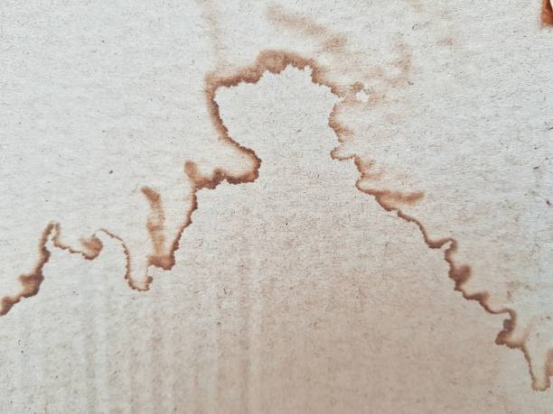 istock water stain on paper box for background texture 1059055022
