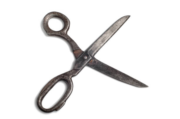 istock vintage metal scissors on isolated 1059055028
