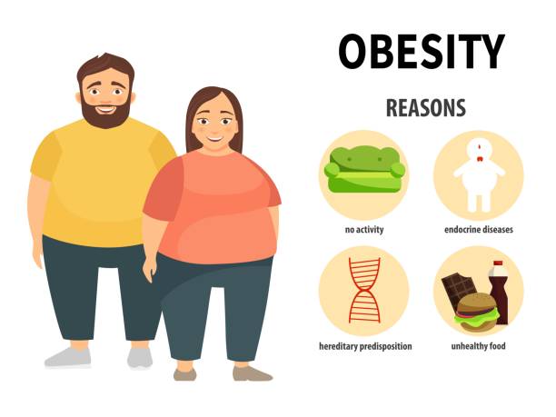 инфографика ожирения. - eating men fat overweight stock illustrations