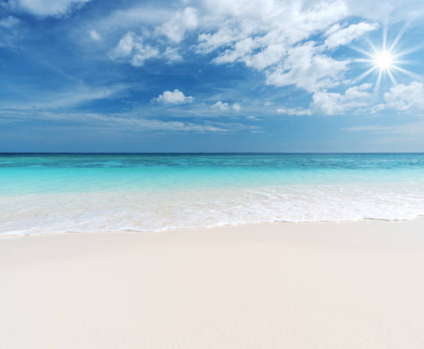 istock Tropical Paradise Beach And Sun Copy Space Scene 1059061248