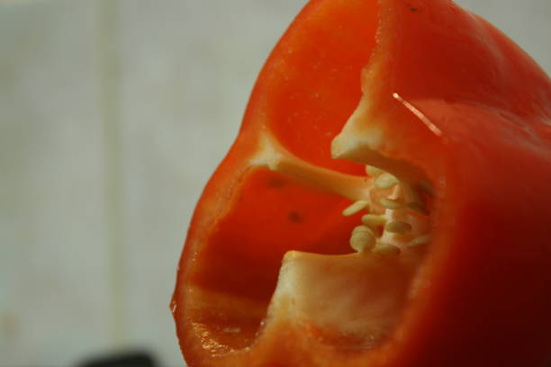 istock Close up shot of red bell pepper 1059062792