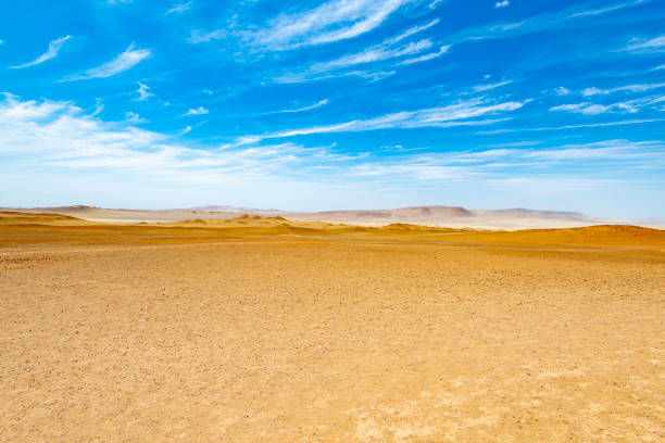 The desert of the Paracas National Reserve in south west Peru, South America, is very vibrant and colourful when the sun is shining.