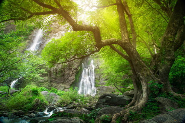 istock Klonglan waterfall in tropical forest, Thailand. 1059068880