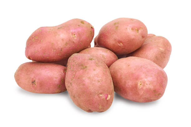 istock pink potato pile on white background 1059071346