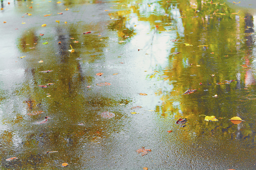 Autumn wet asphalt pavement with puddles, raindrops and yellow leaves after heavy rain