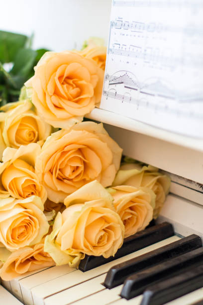istock Peach roses on the piano with notes 1059076596