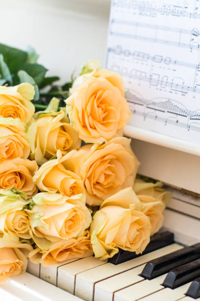 istock Peach roses on the piano with notes 1059076664